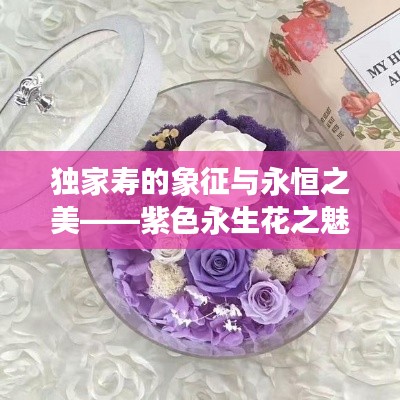 獨家壽的象征與永恒之美——紫色永生花之魅
